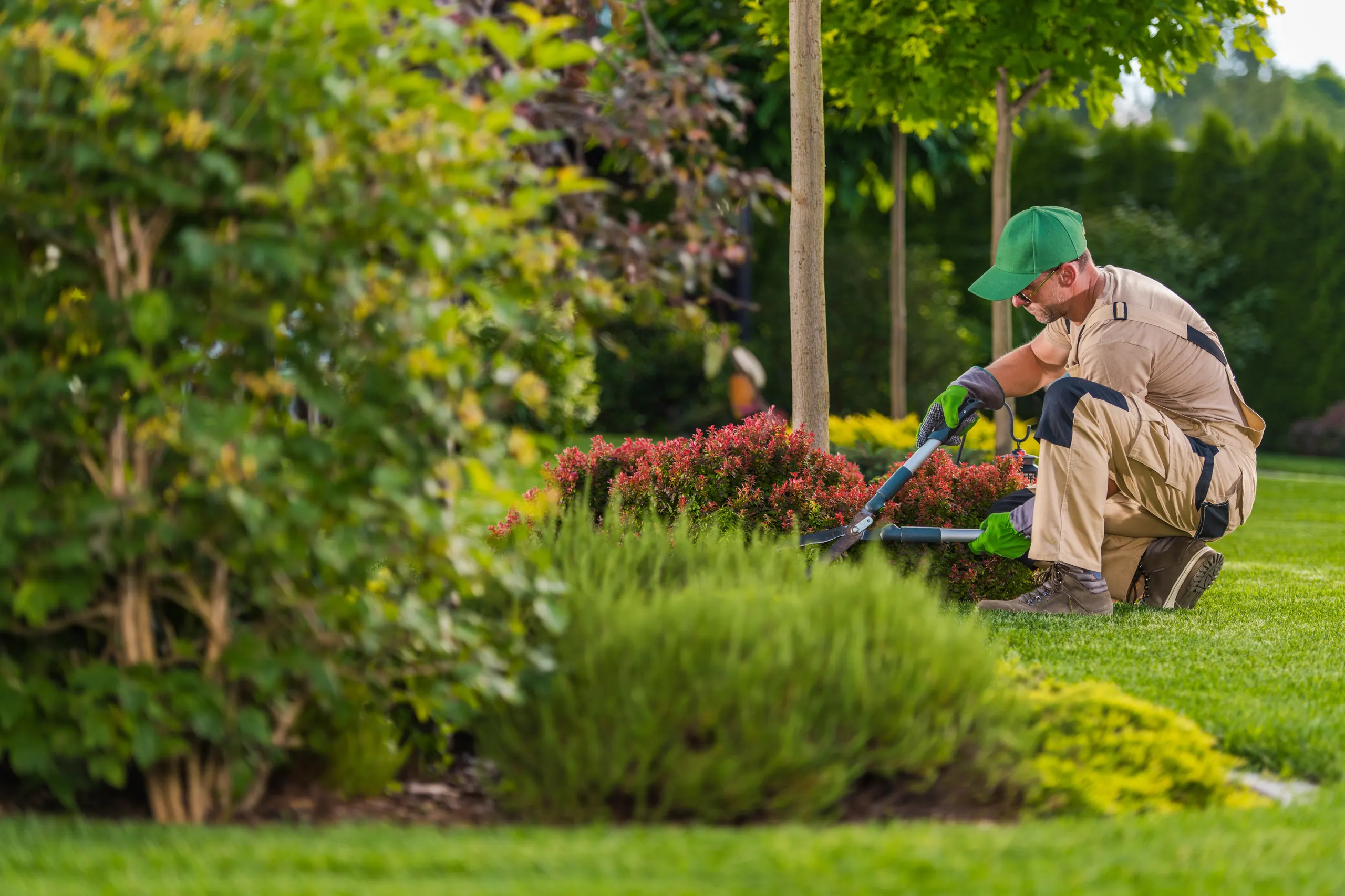 Park renovation landscape enhancement