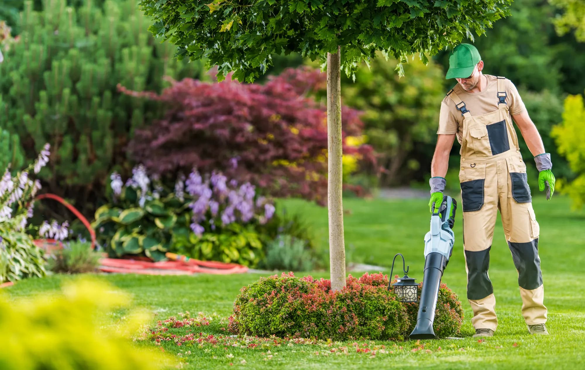 Landscape Management